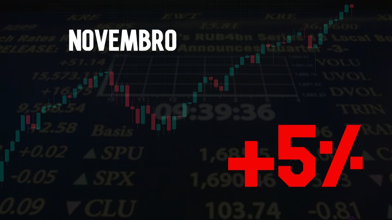 Quanto ganhei este mês? Rentabilidade Mês de Novembro