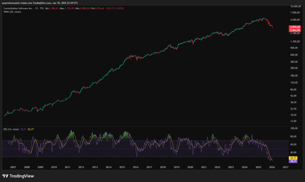 Constellation Software opportunity