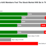 Euphoria: Why Extreme Sentiment and Record-Low Cash Make Me Fear the Market in 2026