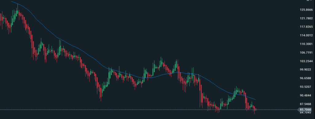 TLT Opportunity 2026