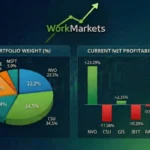 Portfolio January 2026