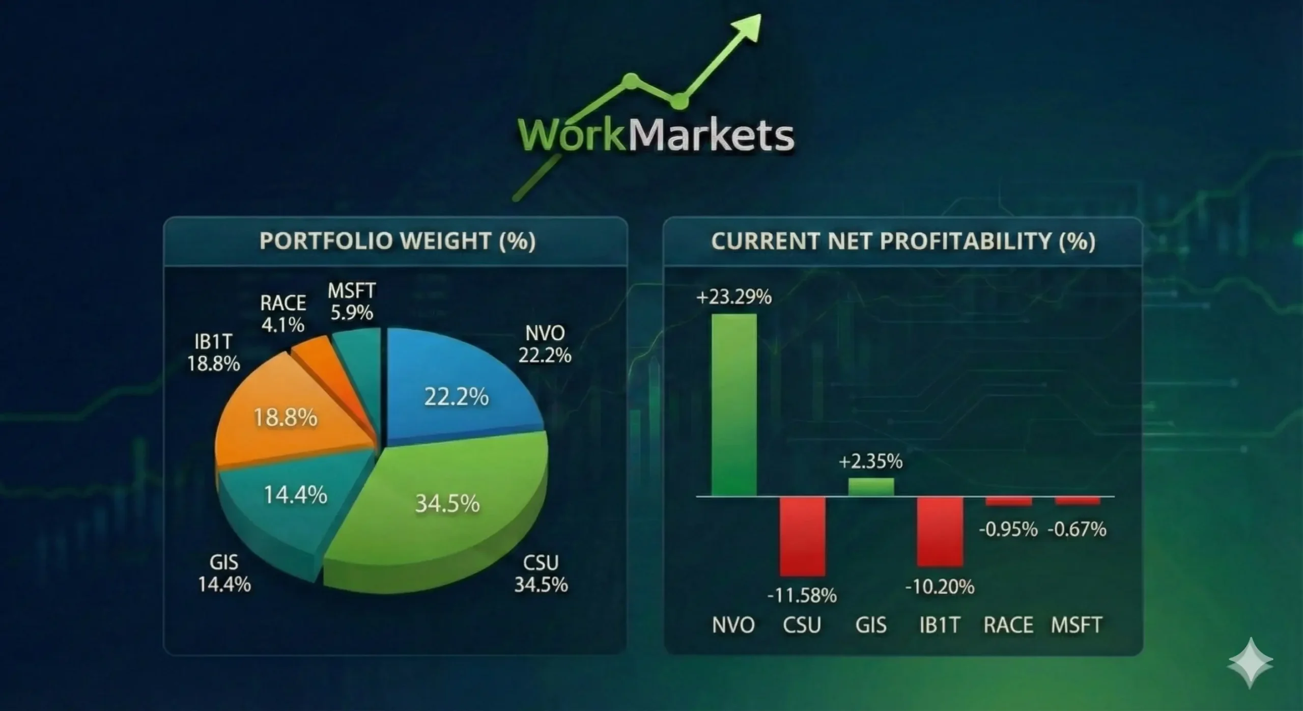 Skin in the Game: Portfolio January 2026 – Why I Doubled Down on Constellation Software (CSU)